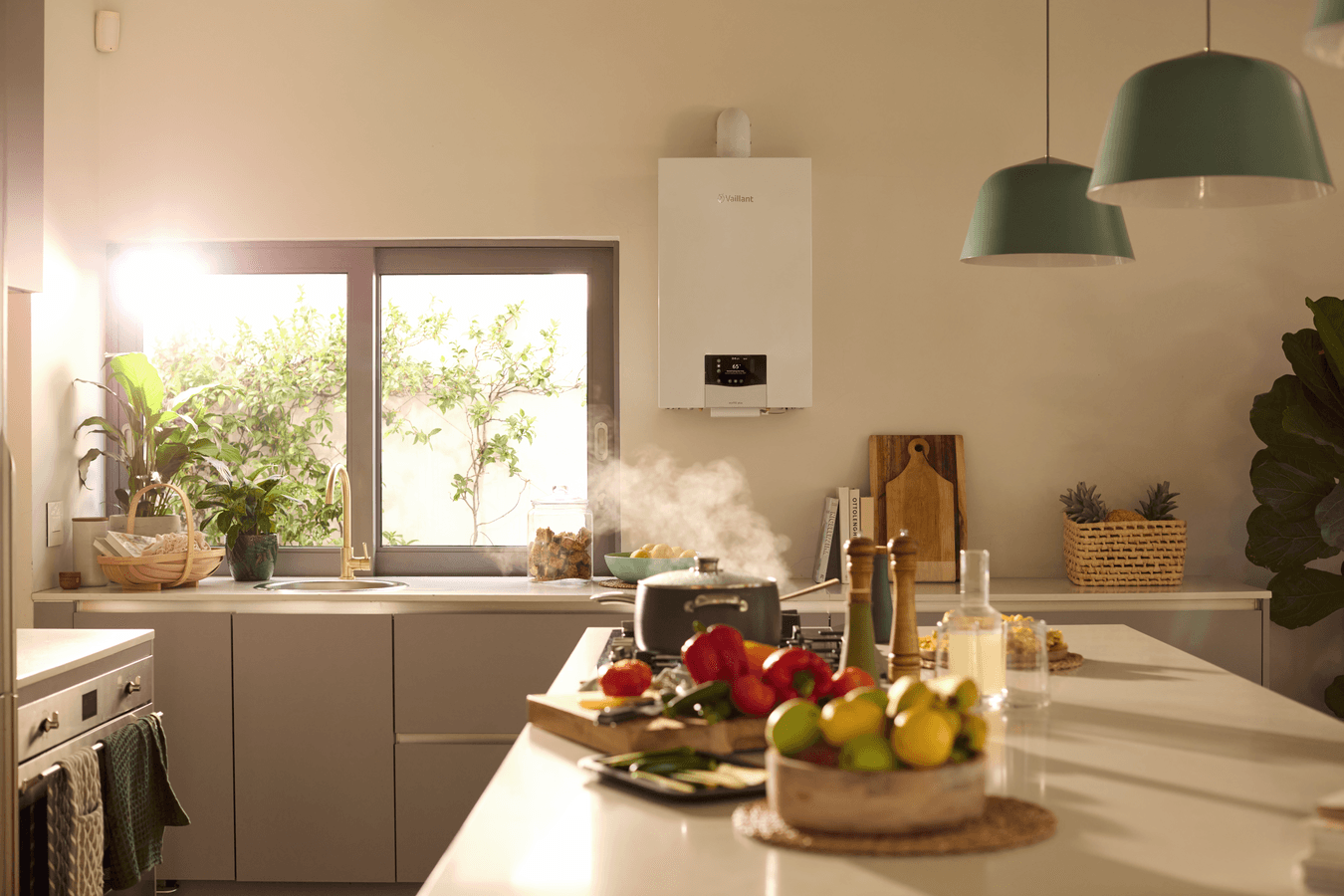 ecoTEC plus scene view