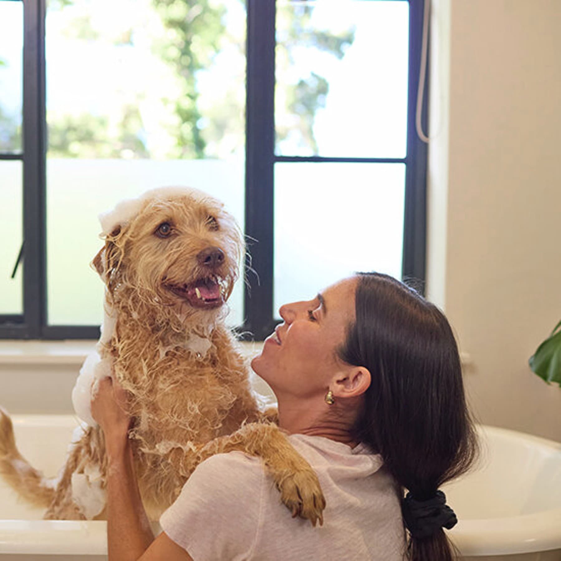 Vrouw die hond wast | Vaillant