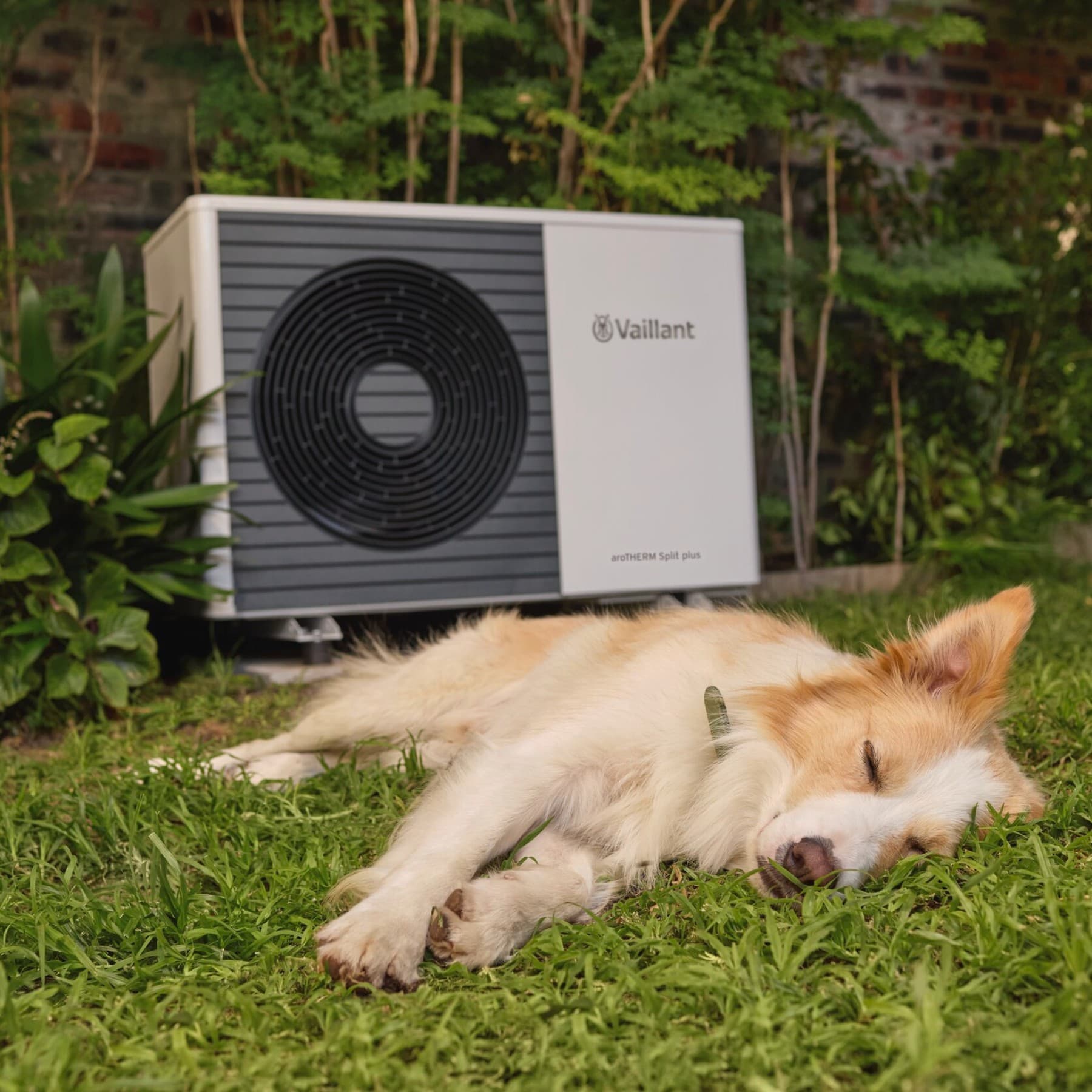 Hond die voor een warmtepomp in de tuin slaapt