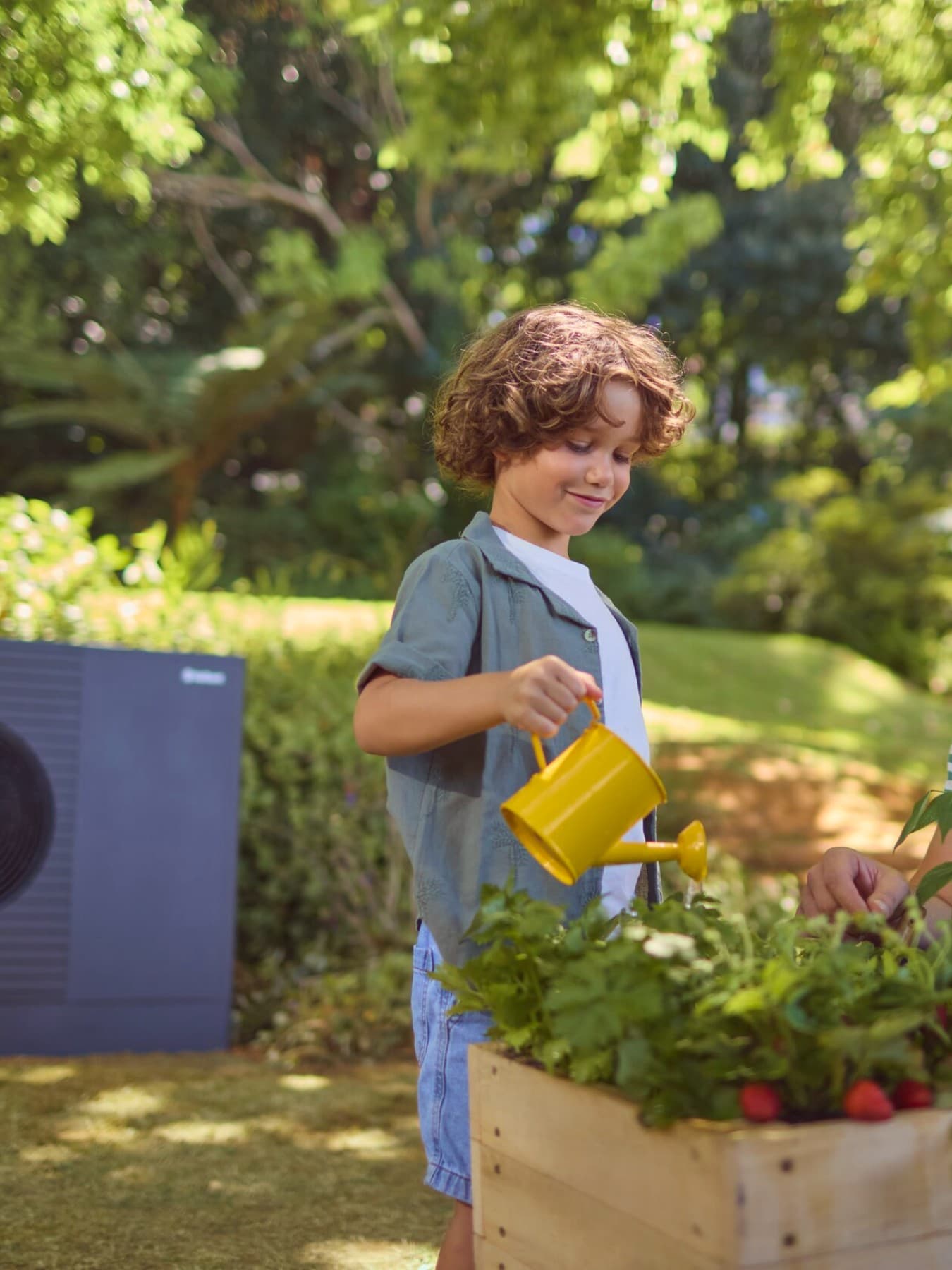 Vader en zoon waterradijsjes in de tuin