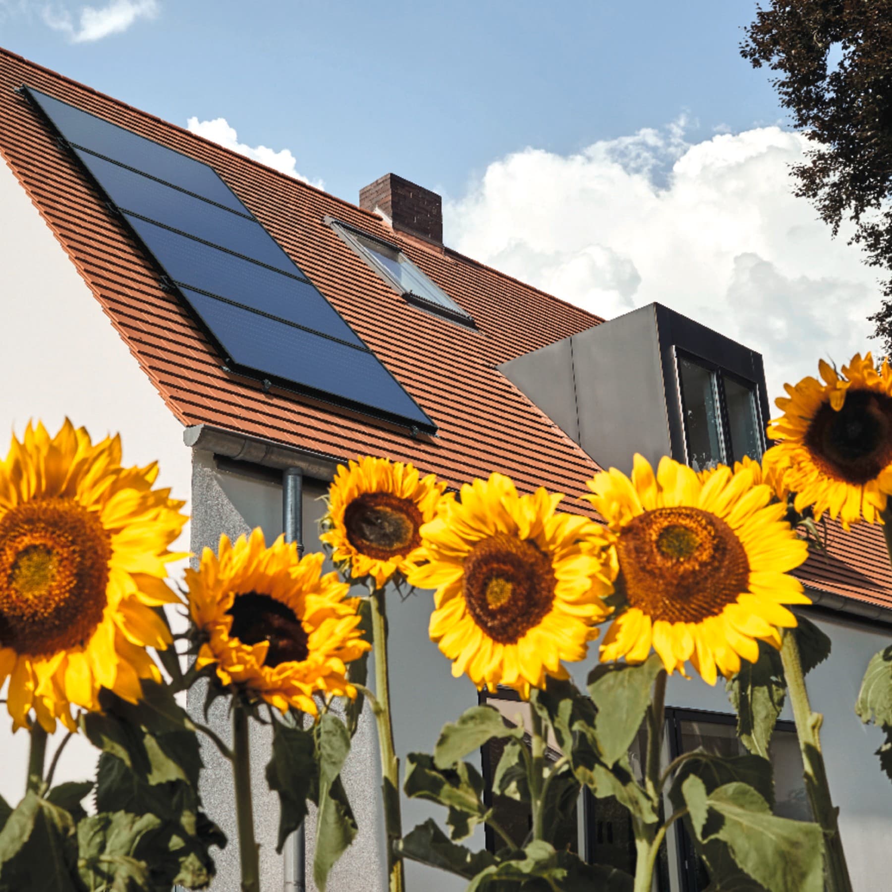 Zonnepanelen op een dak met onderaan zonnebloemen