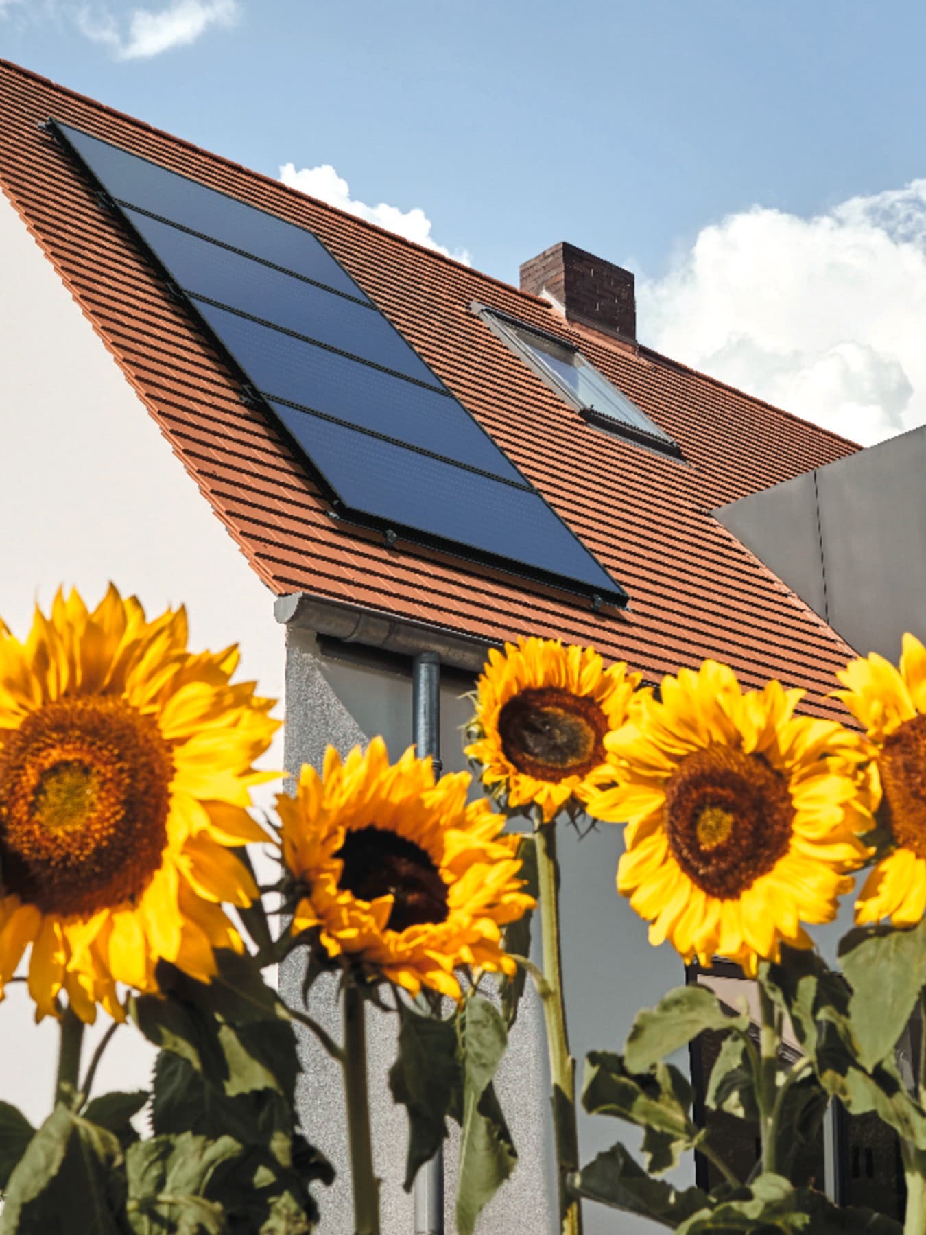 Zonnepanelen op een dak met onderaan zonnebloemen