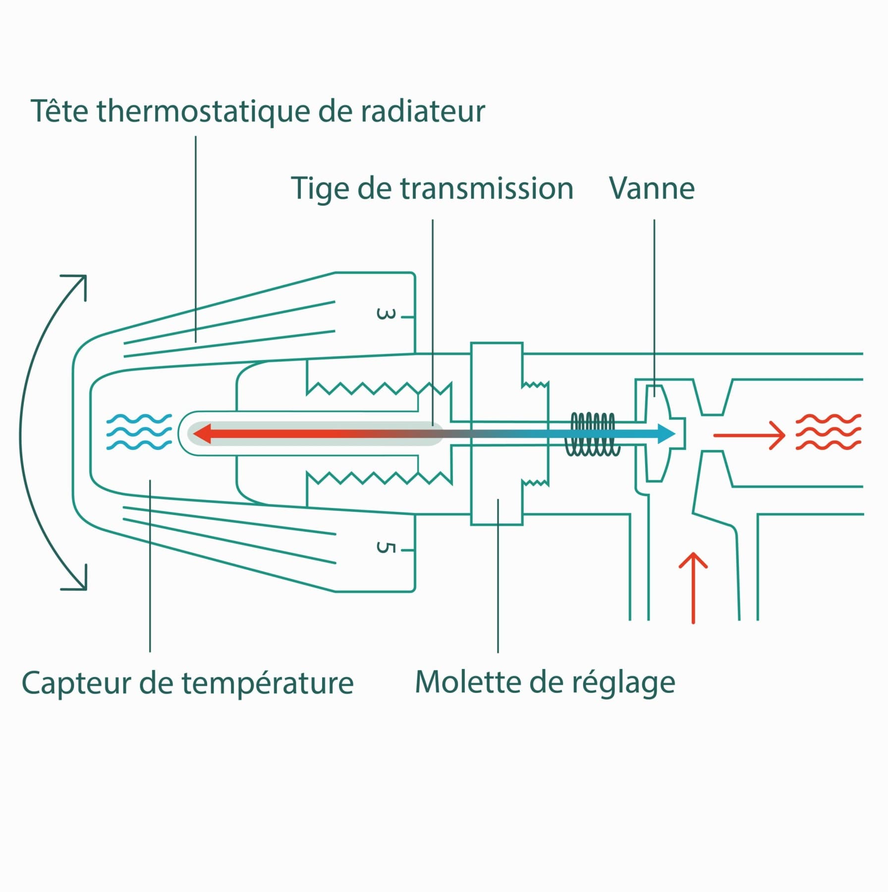 Infographie expliquant le fonctionnement des vannes thermostatiques de radiateur