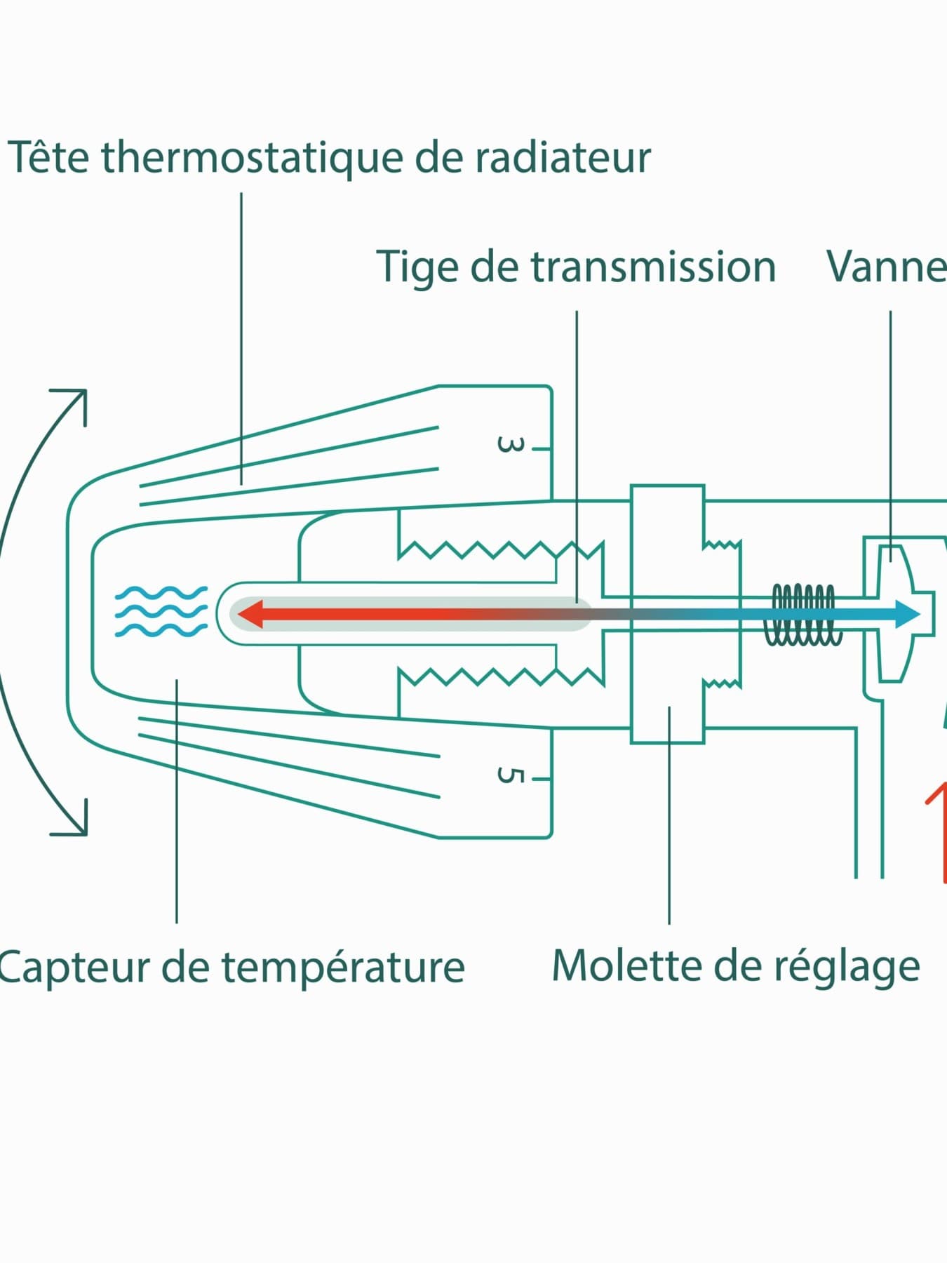 Infographie expliquant le fonctionnement des vannes thermostatiques de radiateur