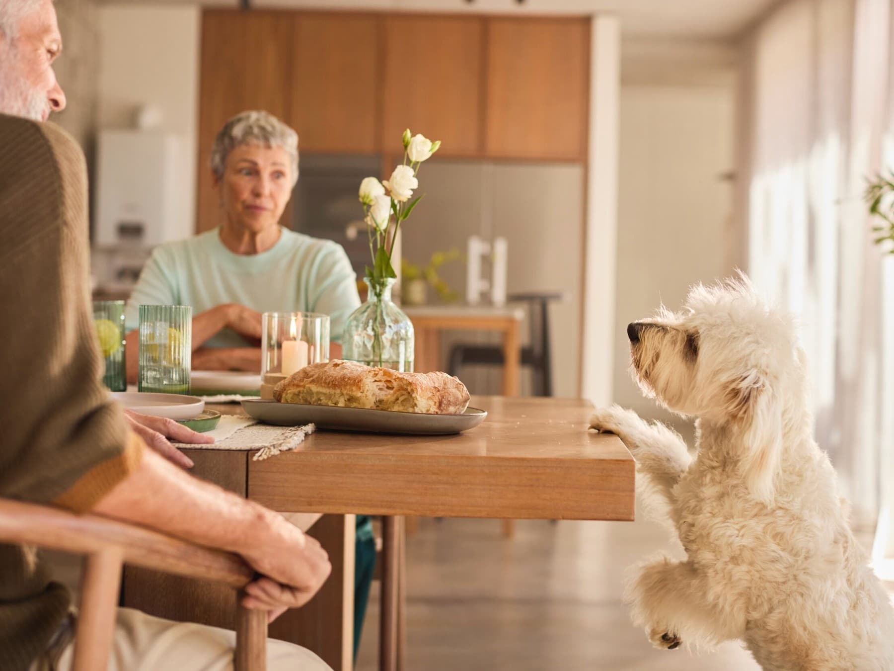 Stel dat aan het ontbijten is terwijl een hond naar de tafel kijkt